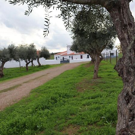 Vila Monte Do Pombal Sousel Exteriér fotografie