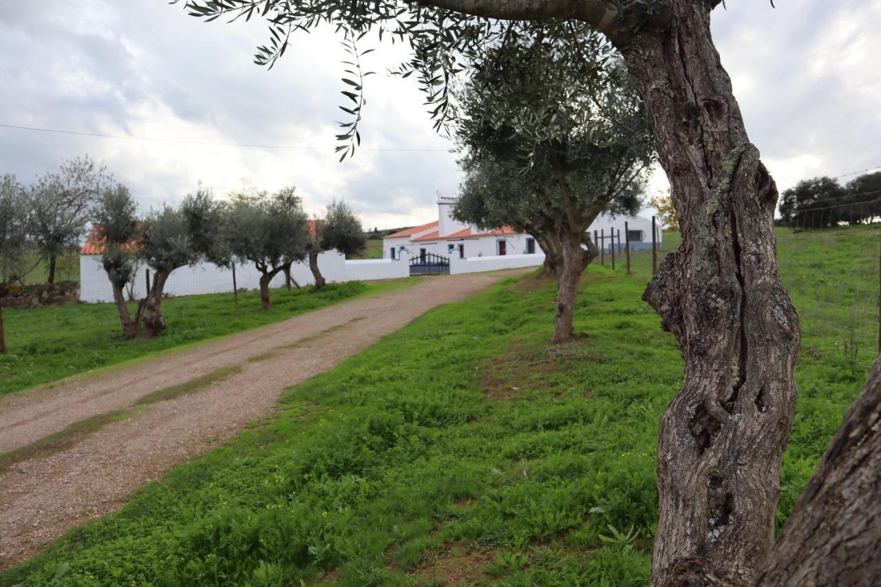 Vila Monte Do Pombal Sousel Exteriér fotografie
