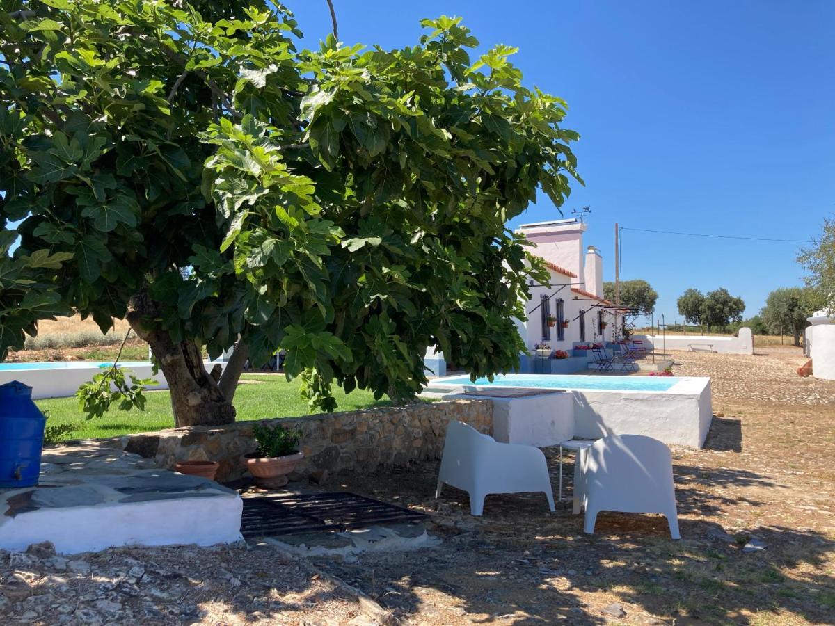Vila Monte Do Pombal Sousel Exteriér fotografie